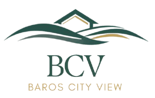 BCV Logo